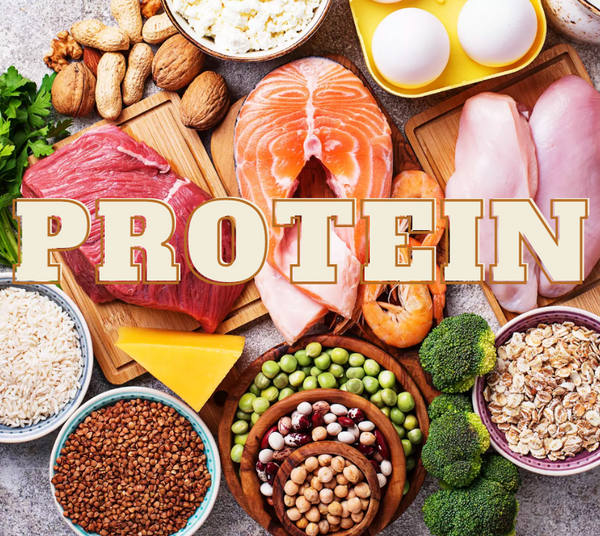 What Is The Best Source Of Protein? | Peak Flow Fitness