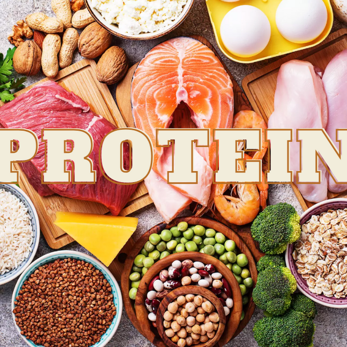 What Is The Best Source Of Protein? | Peak Flow Fitness