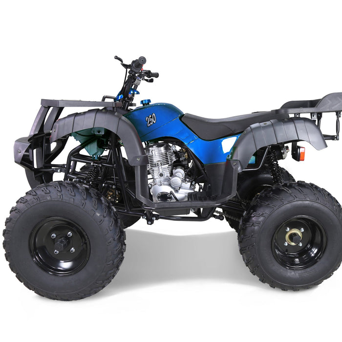 Tao Motor Rhino 250 utility ATV, a common adult 4-wheeler price point - Peak Flow Fitness