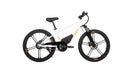 EUNORAU E-BIKE US EKIDS24 1.0 — side profile