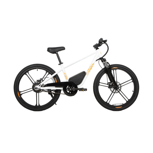 EUNORAU E-BIKE US EKIDS24 1.0 — handlebar and display