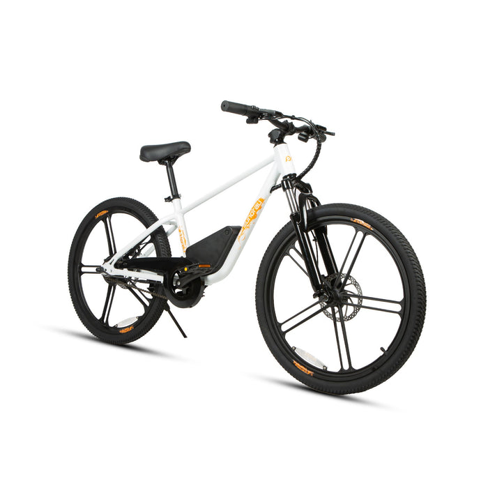 EUNORAU E-BIKE US EKIDS24 1.0 — battery compartment