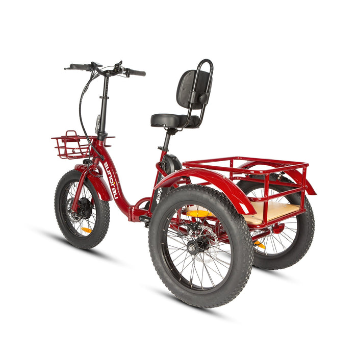 EUNORAU E-BIKE US NEW-TRIKE 2.0 — rear frame view