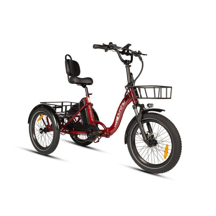EUNORAU E-BIKE US ONE-TRIKE 2.0 — rear frame view