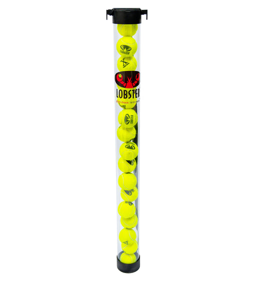 Lobster ball pickup tube filled with tennis balls