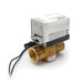 Delta EP103057 Motorized Drain Valve 1", 240/480V