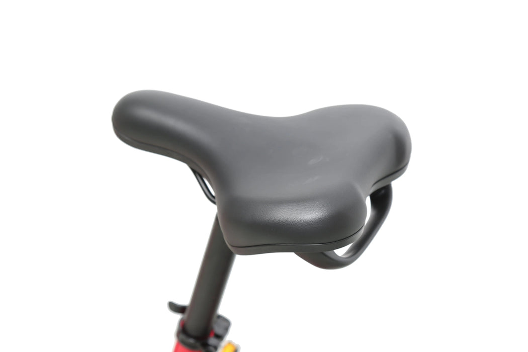 ACE | Utility Cruiser eBike