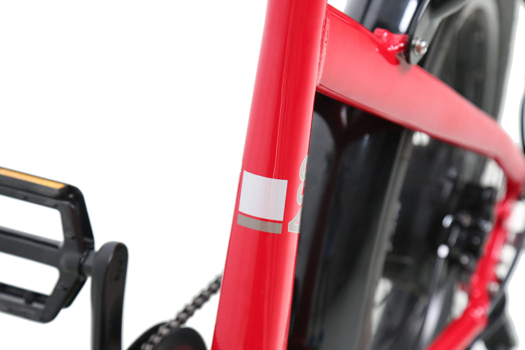 ACE | Utility Cruiser eBike