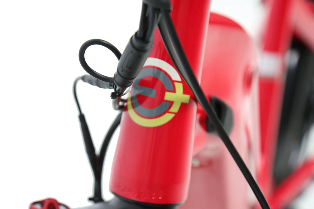 ACE | Utility Cruiser eBike