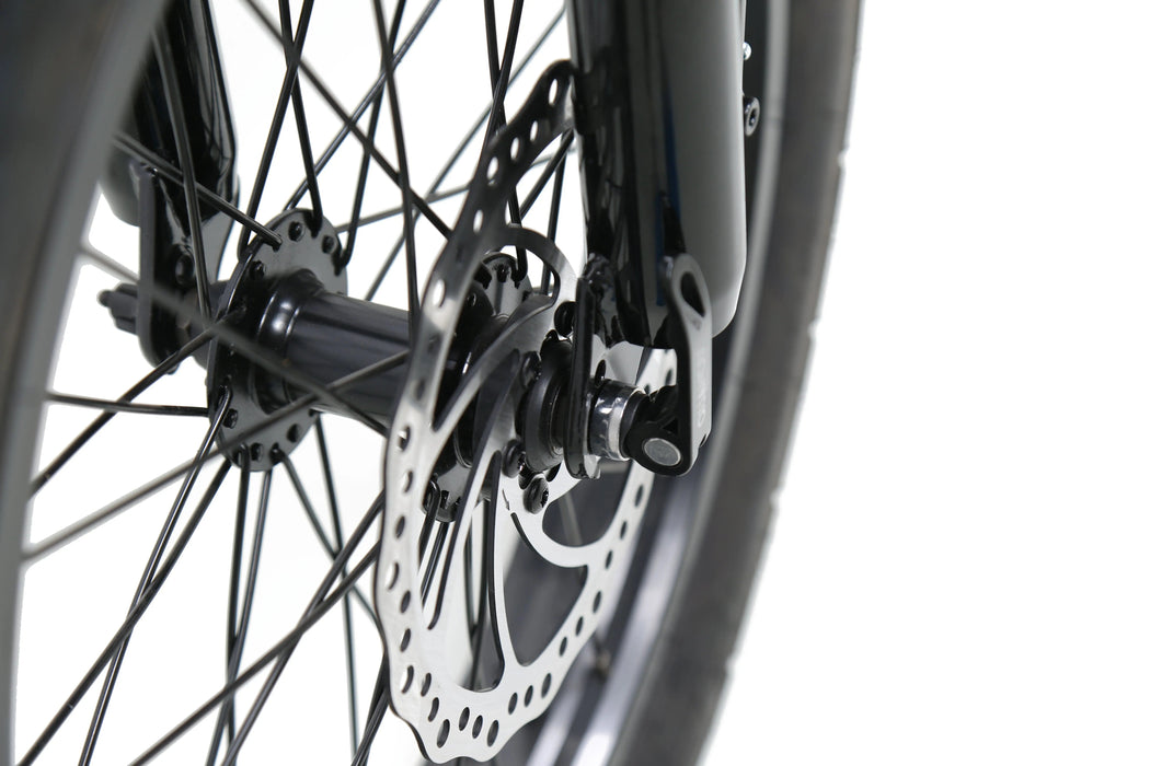 ACE | Utility Cruiser eBike
