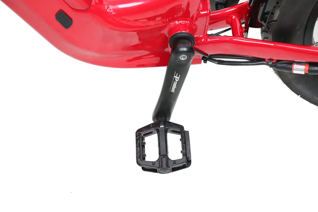 ACE | Utility Cruiser eBike