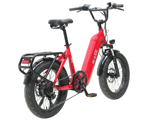 ACE | Utility Cruiser eBike