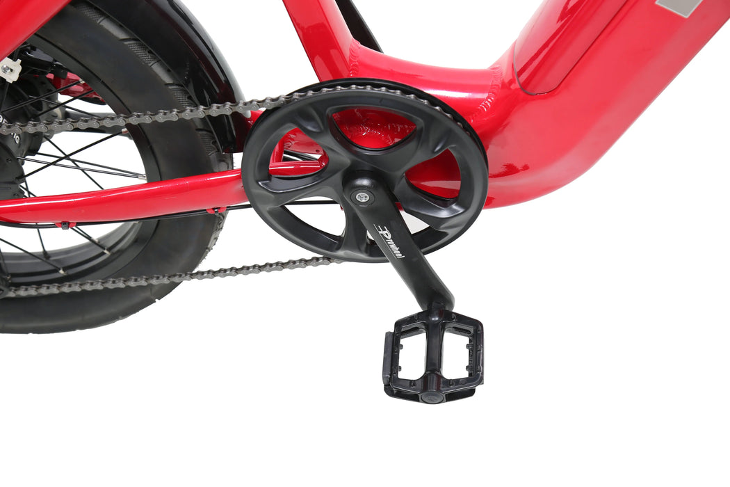 ACE | Utility Cruiser eBike