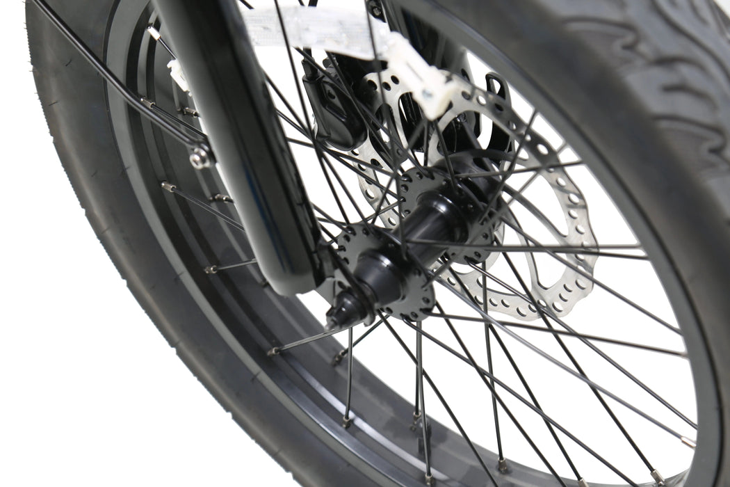 ACE | Utility Cruiser eBike