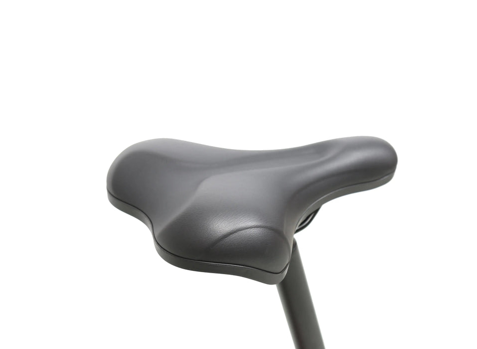 EPIK SWAN 2.0 | Electric Folding Step Through E-Bike