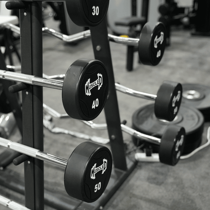 commercial urethane fixed barbell set Muscle D Fitness view 4