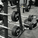 commercial urethane fixed barbell set Muscle D Fitness view 4
