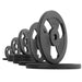 XMARK Iron Horse Premium Cast Iron Olympic Weight Plate Pairs and Sets — additional view 9