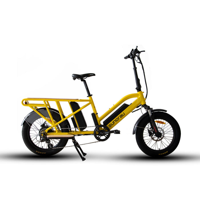 EUNORAU E-BIKE US G30-CARGO 2.0 — additional view 10