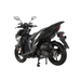 Tao Motor Valiant200 62