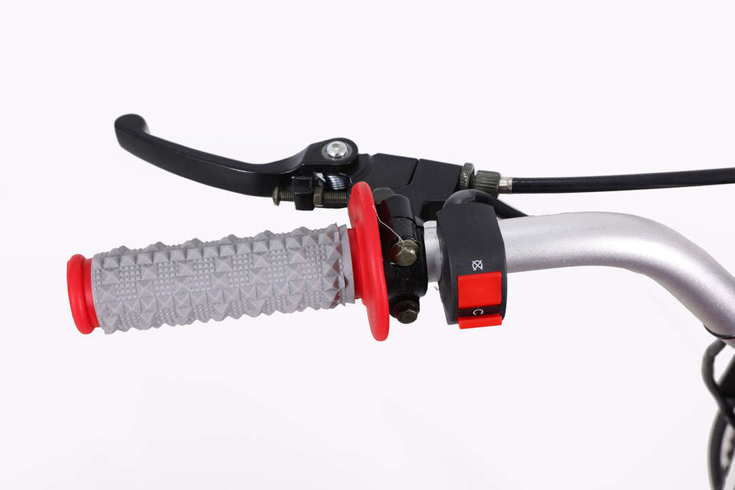 Tao Motor DBX1, 140cc Twin Spar, Front and rear disk brakes, 4 speed manual trans. CA Legal (2022 Model Pre-Tariff Price)