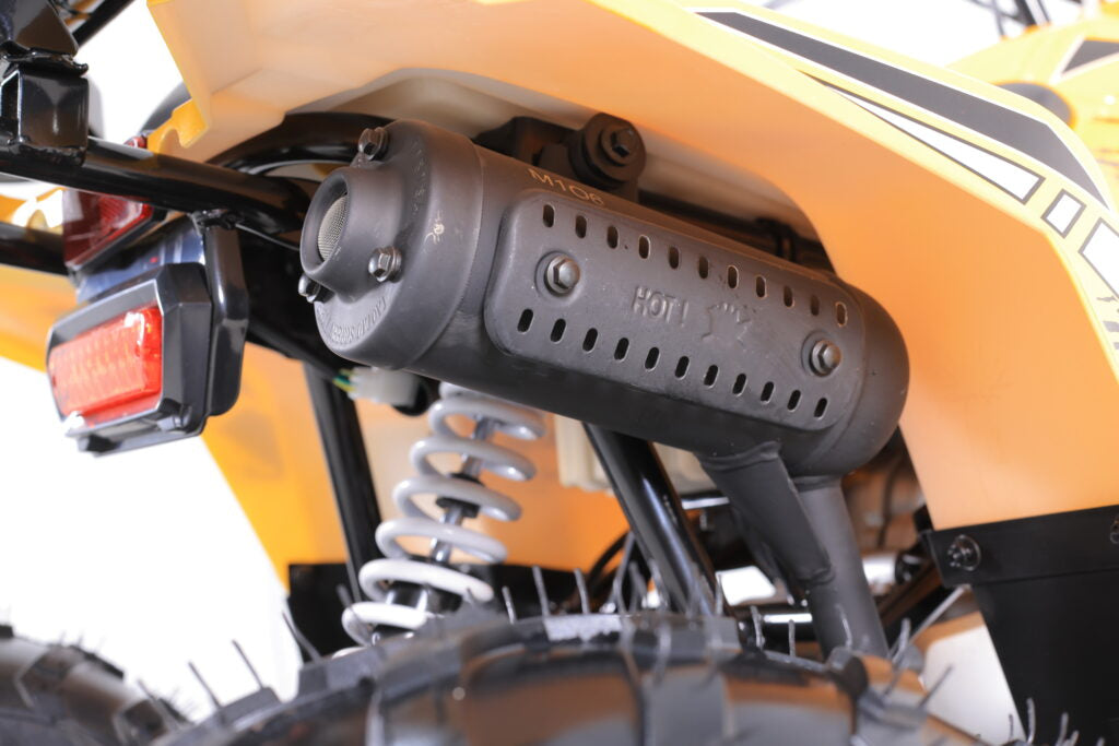 Tao Motor Mudhawk 6, Kids ATV, Electric Start, Automatic Trans with reverse , Throttle Limiter, Remote Kill, 24 inch seat height