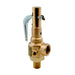 Mr.Steam 99297V Valve, Safety, 15 PSIG, 1", CU2500/C2500-CU3000/C3000