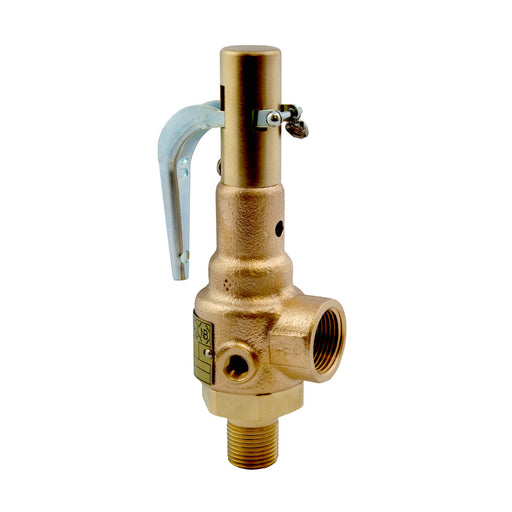 Mr.Steam 99141 Valve, Safety, 15 PSIG, 1", CU4500