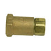 Mr.Steam 99167 Check Valve, Spring Type, 1/2", CU Series