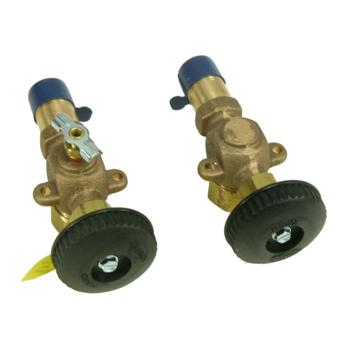 Mr.Steam 99173C Valve Set For Gauge Glass, CU Series - image 3