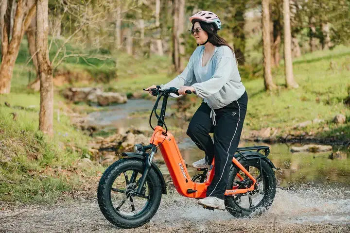 YOUNG Electric E-Flow | 750W Folding eBike