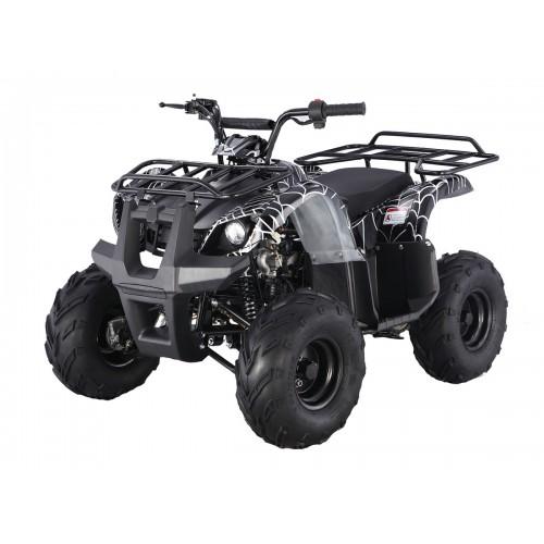 Tao Motor D125 125cc Youth ATV with Reverse — back view