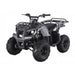 Tao Motor D125 125cc Youth ATV with Reverse — back view