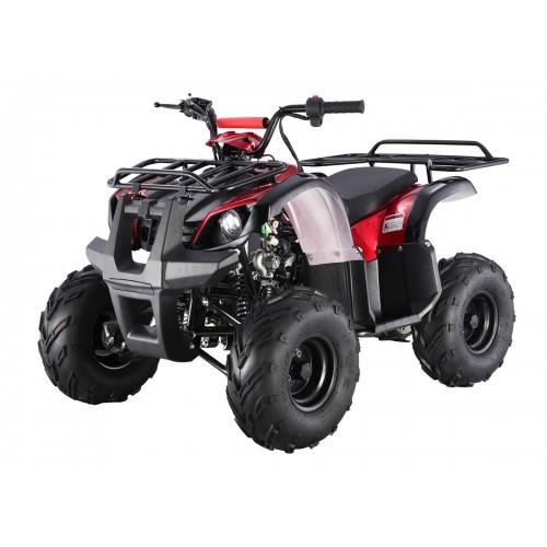 Tao Motor D125 125cc Youth ATV with Reverse — specifications diagram