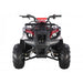 Tao Motor D125 125cc Youth ATV with Reverse — side view