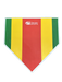 Trigon Sports Strike Zone Home Plate — front view
