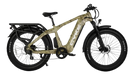 CHEETAH HUNTING | EBIKE
