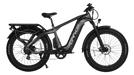CHEETAH HUNTING | EBIKE