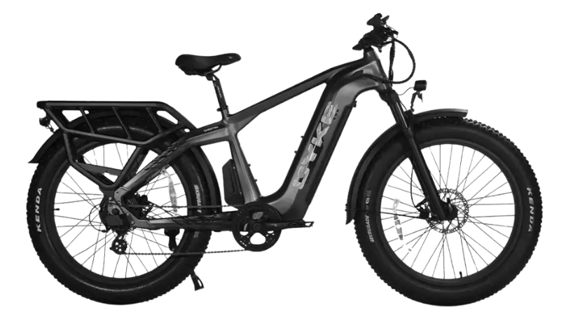 CHEETAH HUNTING | EBIKE