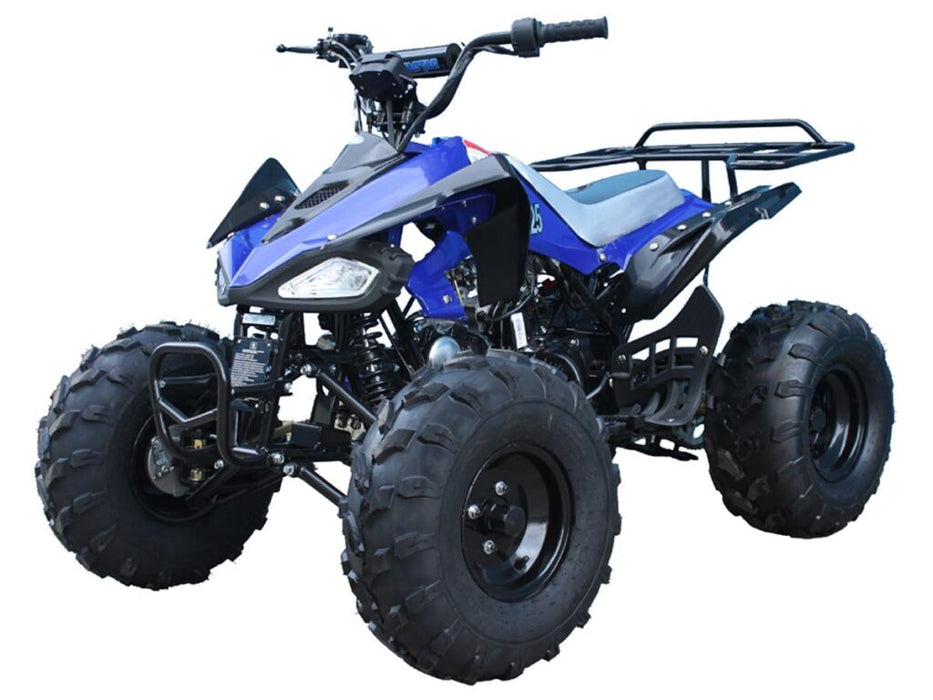 Tao Motor Cheetah G125 Race Style, 107cc Sport Model Ultra Quad - Fully Automatic with Reverse - 19" Tires. CA Legal