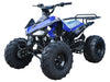 Tao Motor G125 Cheetah-Blue1200