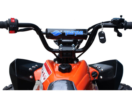 Tao Motor G125 Cheetah-Feature21200