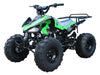 Tao Motor G125 Cheetah-Green1200