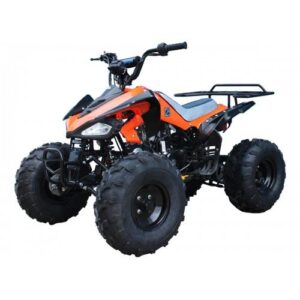 Tao Motor Cheetah G125 Race Style, 107cc Sport Model Ultra Quad - Fully Automatic with Reverse - 19" Tires. CA Legal