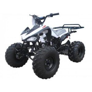 Tao Motor Cheetah G125 Race Style, 107cc Sport Model Ultra Quad - Fully Automatic with Reverse - 19" Tires. CA Legal