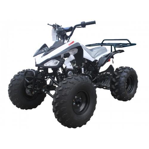 Tao Motor G125 Cheetah_20White-500x500