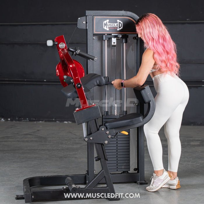 commercial selectorized triceps extension machine Muscle D Fitness view 4