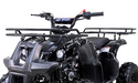 Tao Motor D125 125cc Youth ATV with Reverse — front view
