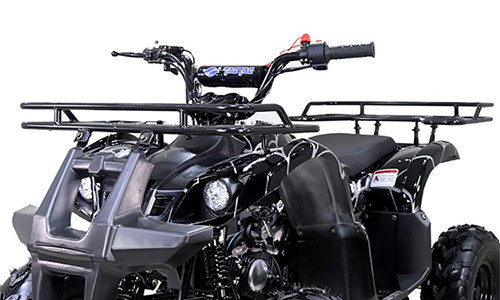 Tao Motor D125 D125-2