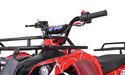 Tao Motor D125 125cc Youth ATV with Reverse — angle view